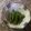 CristinaK's cooksnap of when they made 'Goma-ae' Beans.