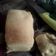 Cooksnap dari Primantha Eveline untuk resep Roti tawar/ oven tangkring