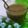 Cooksnap dari Kunti Zakiyah untuk resep Bubur Kacang Hijau Magic Com