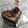 Cooksnap dari Syahla Vidi untuk resep Base cake "Black forest kukus"