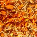 Cooksnap dari Handayani untuk resep Cah jamur tiram wortel toge