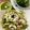 il Mara quando ha preparato Spaghetti con pesto alla rucola