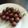 Cooksnap dari Verna untuk resep Sate Telur Puyuh