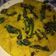 Aparna Ram का कुकस्नैप जब उन्होंने ढोकला (Dhokla recipe in hindi) बनाया था।