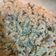 Cooksnap dari Tasha Nastiti untuk resep Creamy Mushroom Sauce