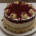 El cooksnap de Ruth Corvalan 🇵🇾 cuando hizo 🇺🇸 RED VELVET (Estados Unidos).
