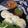 Jyoti Prakash Assudani's cooksnap of when they made Ragi Idli.