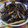 El cooksnap de ale bandera cuando hizo Clochinas o mejillones en salsa Valenciana .