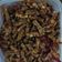 Cooksnap dari ismayani untuk resep Kering Tempe Pedas Manis Bumbu Iris #Rabubaru