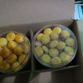Cooksnap dari Sari cake&cookies untuk resep Kue nastar anti gagal