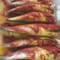صورة من الشيف حنان الهدي، شاركها بعد تجربة وصفة سمك بالفرن ♥️😋