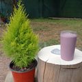 El cooksnap de L Canobra cuando hizo Smoothie de açaí y banana.
