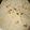 Runta Dutta's cooksnap of when they made ময়দার রুটি (Maidar roti recipe in Bengali).