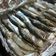 El cooksnap de Marieta cuando hizo Sardinas al horno en parrilla.