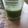 El cooksnap de Vanessa Ospina cuando hizo Batido de espinaca con kiwi y sésamo.