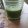 El cooksnap de Vanessa Ospina cuando hizo Batido de espinaca con kiwi y sésamo.