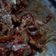 Cooksnap dari shery untuk resep Sambal ikan Asin kriuk