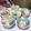 Cooksnap dari Dee Dieka untuk resep Bolu kukus mekar tanpa soda