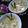 Cooksnap dari Niung Niung untuk resep Bubur Kacang Hijau (metode 5-30-7)