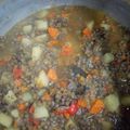 El cooksnap de Lorena Ryoki cuando hizo Guiso de lentejas súper sano 🥘🥄.