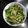 Cooksnap dari winsakura untuk resep CaKangkung