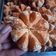 Cooksnap dari yuli's untuk resep Sakura (Onde-onde Pecah)
