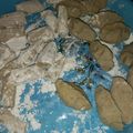 Cooksnap dari mira aminah mutiara untuk resep Pempek Dos Ala Devina Hermawan