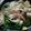 รูป Cooksnap ของ supatchaya เมื่อเขาทำ ก๋วยเตี๋ยวไก่ฉีกน้ำพริกเผา