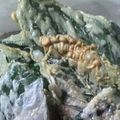 Cooksnap dari Yustina Ikka untuk resep Keripik bayam