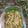 Cooksnap dari meysmap.kitchen untuk resep Sambel Lombok Ijo ala RM Padang