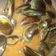 Cooksnap dari L.Grace Orem Mastianna untuk resep Kerang hijau saus padang