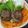Cooksnap dari Lintang NH untuk resep Beef patty burger homemade
