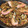 El cooksnap de Mireia Puig cuando hizo Fideuá.