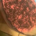 El cooksnap de Dani Blanco cuando hizo Crema de vainilla.