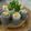 江小白 的 【元本山海苔】海苔蘆筍粉皮捲 cooksnap
