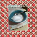 Cooksnap dari neѕya praтιѕтa untuk resep Daging Kelapa Muda KW