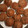 El cooksnap de Andrea Perez cuando hizo Banana bread saludable.