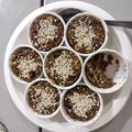 รูป Cooksnap ของ คน Rayong เมื่อเขาทำ Healthy Carrot Cake with Yoghurt Sauce เค้กแครอทซอสโยเกิร์ต หม้ออบลมร้อน