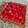 El cooksnap de Erika S cuando hizo Tarta integral de frutillas.