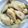Cooksnap dari ummi abarr untuk resep KOLAK PISANG