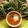 স্বর্নাক্ষী চ্যাটার্জি 's cooksnap of when they made পালং স্যুপ (Spinach Soup recipe in Bengali).