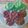 Cooksnap dari Linda Vitria untuk resep Putu Ayu Rainbow...