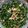 庭秀 的 炸醬空心菜 cooksnap