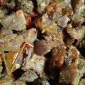 Cooksnap dari tammclev untuk resep Sapi goreng rica-rica