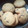 El cooksnap de marcos peralta cuando hizo Galletas con chispas de chocolate.