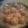 El cooksnap de Micaela Jaime cuando hizo Pan de leche rellenos con dulce de leche!!!!!.