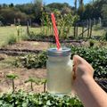 El cooksnap de Angie Ancarola cuando hizo Licuado de melón y menta.