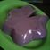 Cooksnap dari Afrida R. untuk resep puding santan ubi ungu