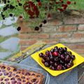 Cooksnap de Caroline Maire sur la recette Clafoutis aux quetsches
