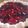 El cooksnap de Lorena Eivers cuando hizo Tarta de frutos rojos.